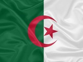Argélia compra 580 mil t de trigo em leilão, dizem operadores