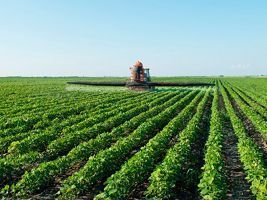 Russa Phosagro vê mercado global de fertilizantes caminhando para reequilíbrio