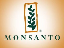 Argentina: novo decreto não permitirá que Monsanto cobre por produtividade