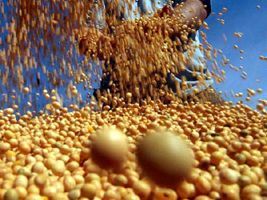 Safras eleva previsão de colheita 15/16 de soja do Brasil a mais de 100 mi t