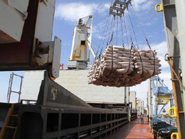 Porto de Antonina: movimentação de cargas cresce mais de 50% em 2016