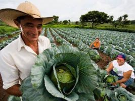 Selo da Agricultura Familiar chega a 1.500 permissionários