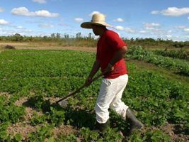 Um espaço para a agricultura familiar