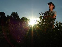 Agricultores participam da Agroagas em Tramandaí para buscar novos mercados