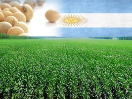 Monsanto quer transformar unidade argentina na maior do mundo