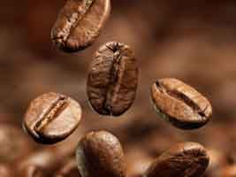 Bancos e cooperativas recebem R$ 2,87 bi de fundo para financiar a cultura do café