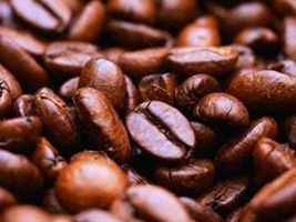 Café/Cepea: Rondônia inicia colheita de robusta da safra 2016/17