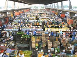 Ceasa Uberaba divulga cotação semanal de preços