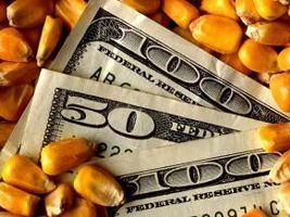Milho cai com movimento técnico de ajuste – Análise Agrolink