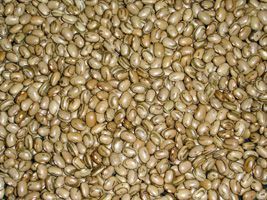 Leilão de venda de feijão comercializa 807 toneladas do produto