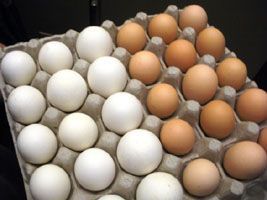 Ontem, quarta, preço dos ovos não sofreu alteração