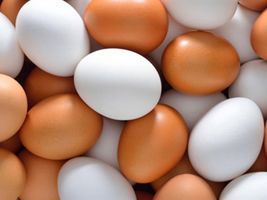 Altas de preços dos ovos na granja e no atacado
