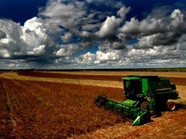 Fenômenos climáticos desafiam limites da agricultura na América do Sul