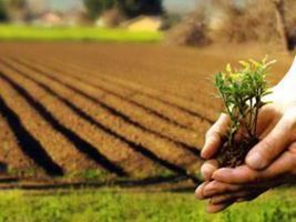 Contribuição Sindical Rural para Pessoas Jurídicas deve ser paga até 31 de janeiro