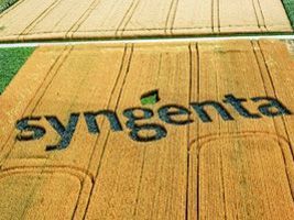 Depois de nova recusa, Monsanto assedia acionistas da Syngenta