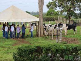 Dia de campo da Embrapa apresentou inovações em biotécnicas de reprodução animal para a pecuária