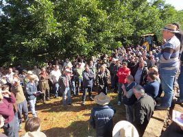 4º Seminário da Cultura da Noz Pecan é realizado em Anta Gorda