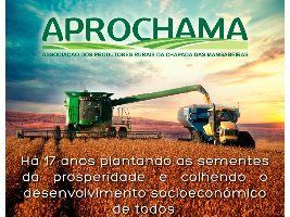 Associação completa 17 anos em defesa dos agricultores da mais nova fronteira agrícola brasileira