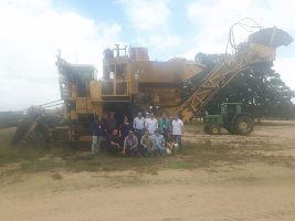 Canavieiros conhecem o sistema Australiano de produção