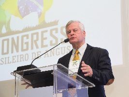 Angus foca no aprimoramento genético para fins econômicos