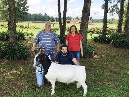 Seguindo orientação técnica, sojicultores investem na produtividade e impulsionam suas médias