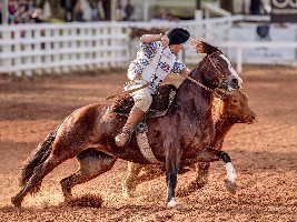 Competitividade deve marcar classificatória ao Freio de Ouro em Vacaria