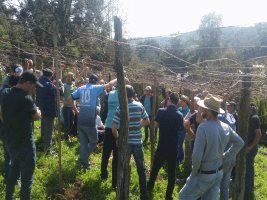 Um dia destinado ao vinho em Cacique Doble