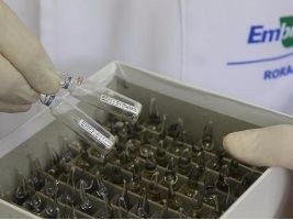 Embrapa investe em mais qualidade para suas coleções de microrganismos