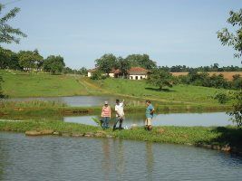 Dia de Campo demonstra ferramenta para auxiliar piscicultores no monitoramento da saúde de peixes