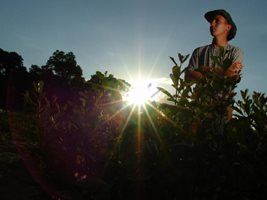 Araguaína (TO) sedia evento sobre gestão de pessoas no agronegócio