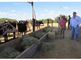 Produtor diversifica e produz leite no Jaíba