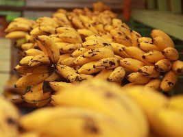 Fiscais agropecuários distribuem meia tonelada de bananas