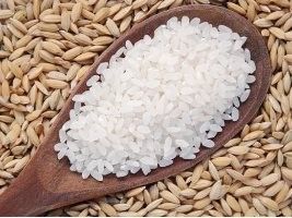 Conab leiloa mais 25,7 mil toneladas de arroz