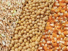 Recorde: estoques globais de grãos devem passar de 500 milhões de toneladas