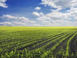 Rumos da Agricultura de Precisão serão debatidos durante Congresso em Goiás