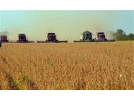 Valor bruto da produção agropecuária é de R$ 501,4 bi neste início de ano