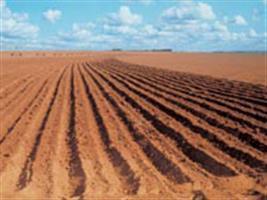 Vazio sanitário da soja começa na sexta em Mato Grosso 