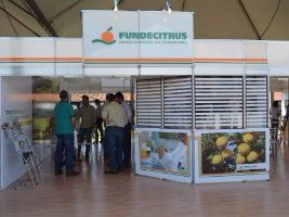 Fundecitrus apresenta novo sistema de previsão para podridão floral na Semana da Citricultura