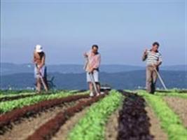 Contag diz que plano potencializa ações voltadas à agricultura