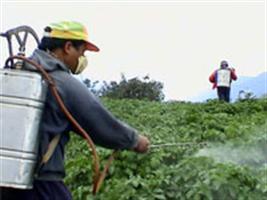 Anvisa publica cartilha sobre como evitar intoxicação com agrotóxicos