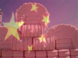 China volta a importar algodão do Mato Grosso