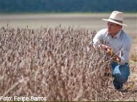 Missão da Aprosoja leva produtores para Farm Progress Show