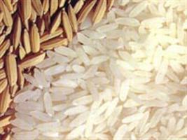 Cadeia do arroz apresenta diagnóstico do setor ao governo federal
