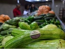 Produtores atendidos pelo Senar/MS comercializam R$ 500 mil em hortifrutigranjeiros