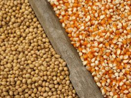 DuPont Crop Protection e DuPont Pioneer mostram tecnologias integradas para milho e soja