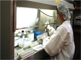 Transgênicos, recursos genéticos e segurança alimentar
