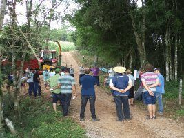 Bovinocultores de Leite de Cotiporã e São Valentim do Sul participam de Dia de Campo