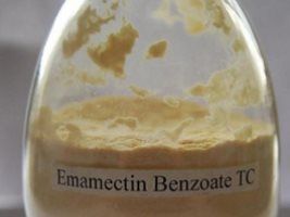 Uso do benzoato é liberado por mais um ano na Bahia