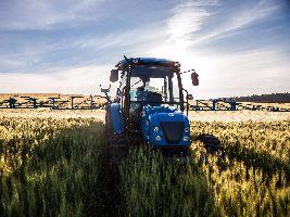 Extensão Rural completa 50 anos no Amazonas e comemora resultados de tecnologias incentivadas na agricultura familiar