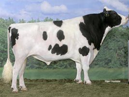 Missão do centro do país acompanha trabalho da Conexão Delta G